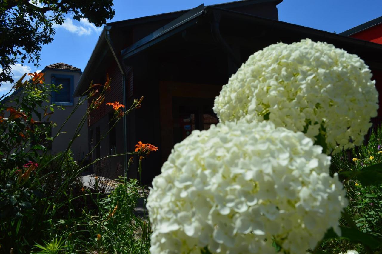 Bootshaus Holiday home *